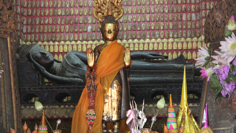 Immersion au Laos