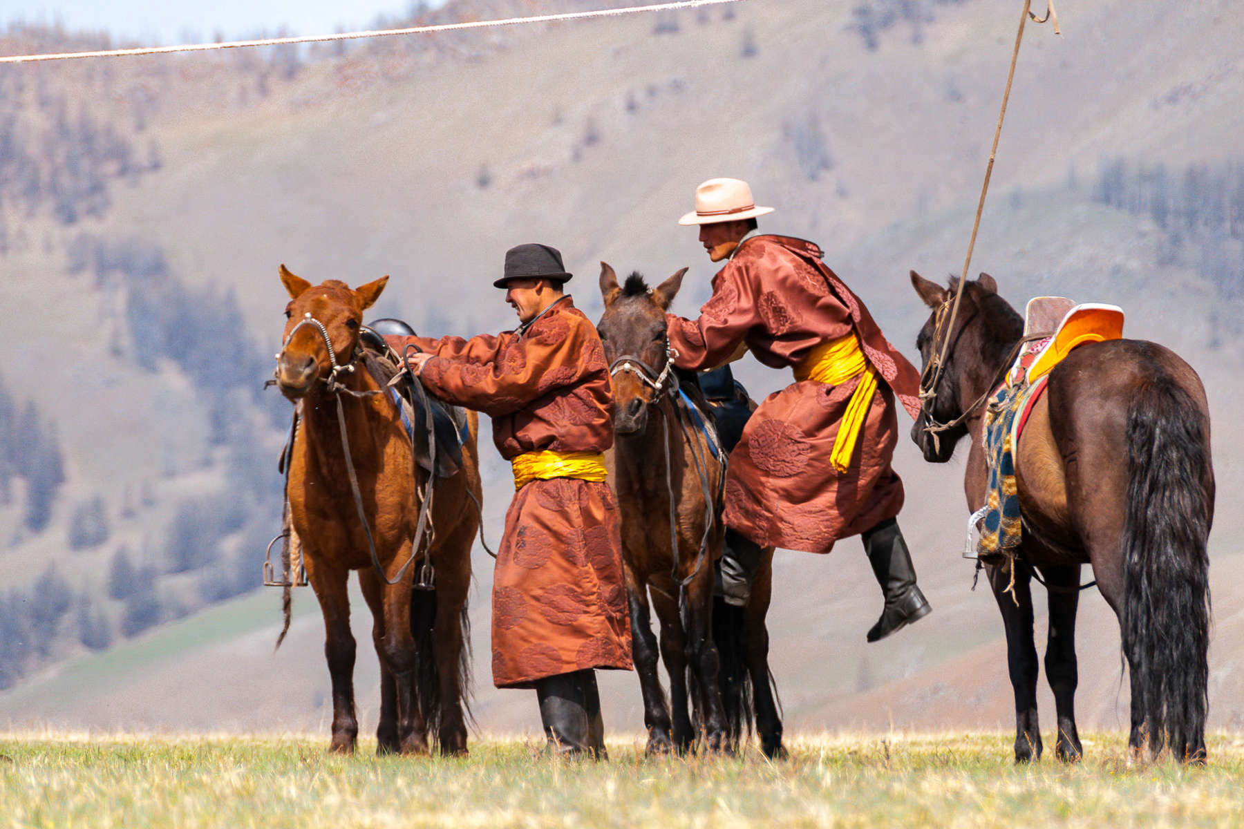 Immersion en Mongolie