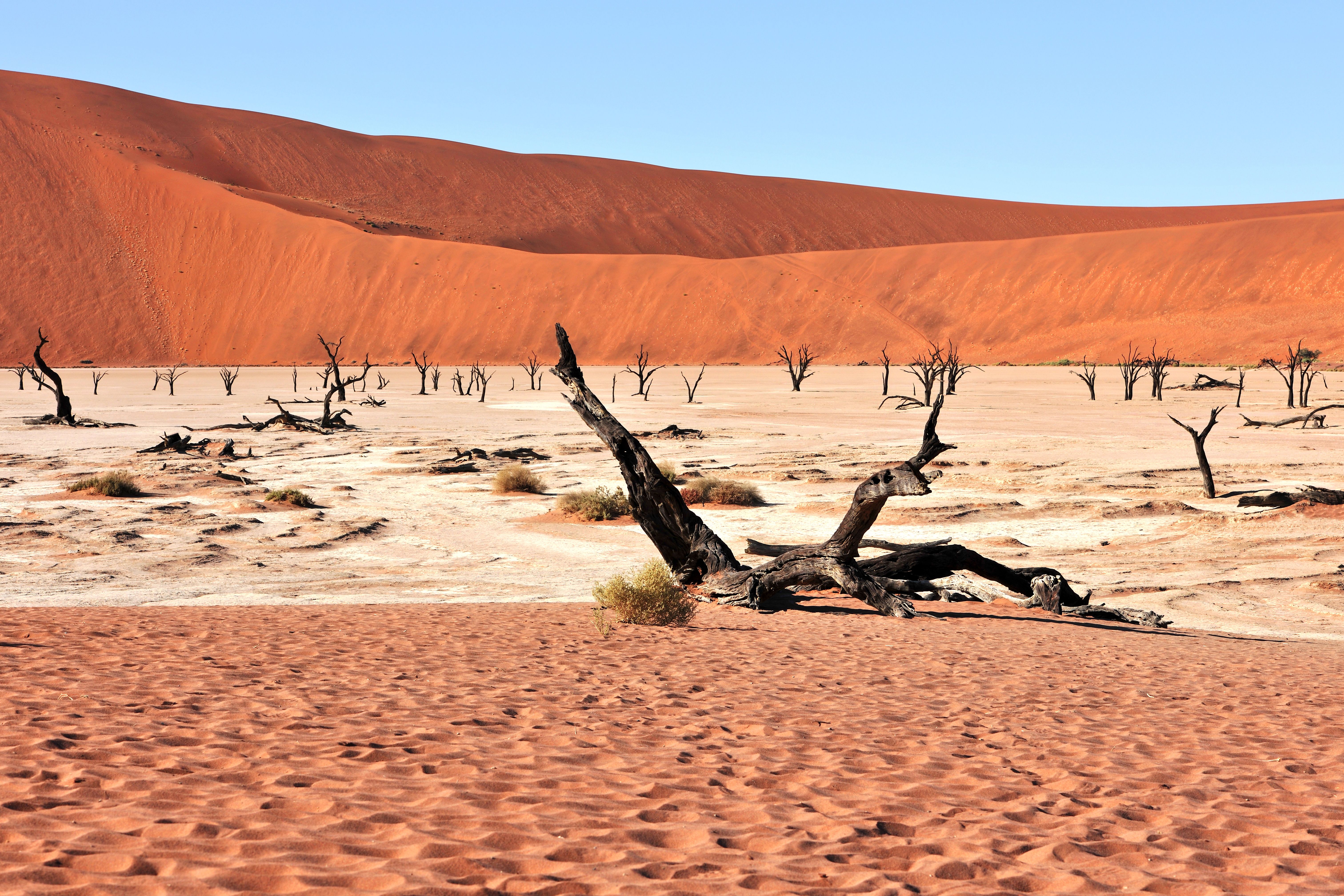 Merveilles de Namibie