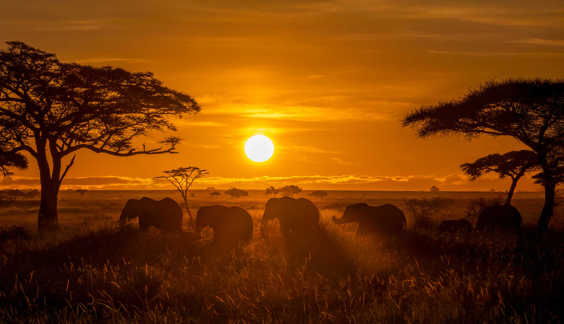 Merveilles de Tanzanie